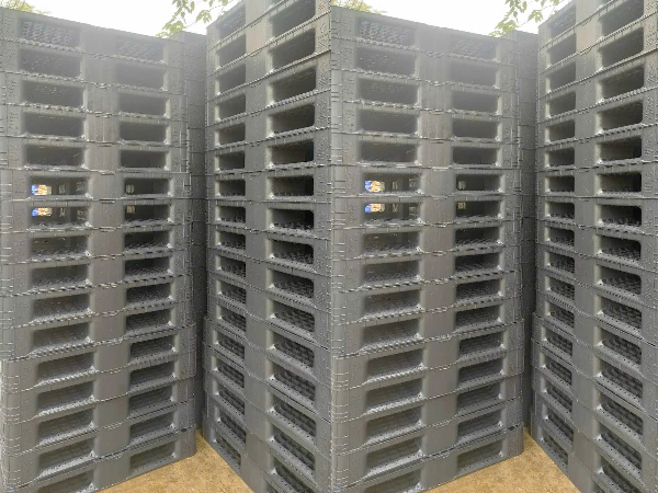 Pallet nhựa